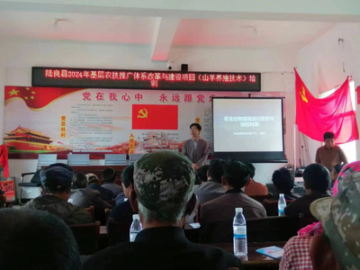 激發(fā)基層活力 陸良縣2024年農技推廣體系改革與建設項目培訓在龍海鄉(xiāng)拉開帷幕